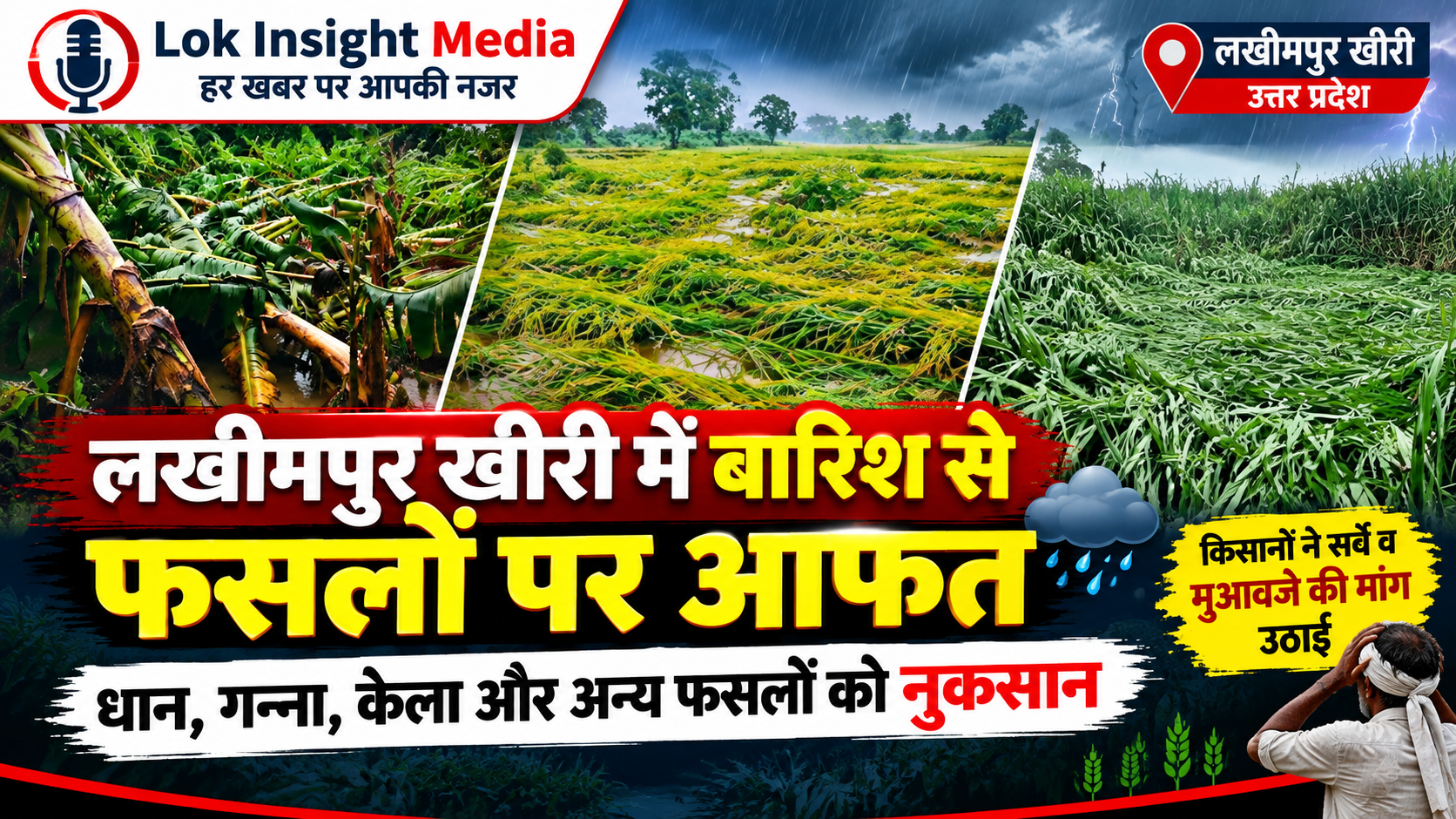 दो दिन की बारिश और तेज हवाओं से लखीमपुर खीरी में कई जगह फसलों को नुकसान, किसानों ने सर्वे और मुआवजे की मांग उठाई।