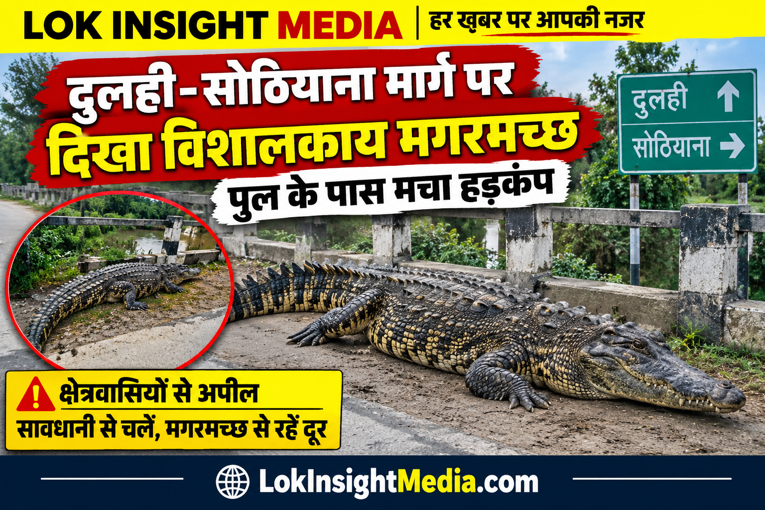 दुलही-सोठियाना मार्ग पर दिखा विशालकाय मगरमच्छ, ग्रामीणों में हड़कंप