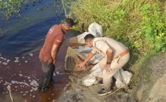 निघासन में आबकारी विभाग की कार्रवाई के दौरान कच्ची शराब और लहन नष्ट करते अधिकारी
