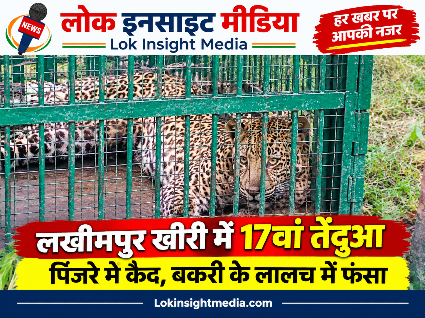 थाना पढ़ुआ क्षेत्र के बैरिया गांव के पास पिंजरे में कैद हुआ तेंदुआ।